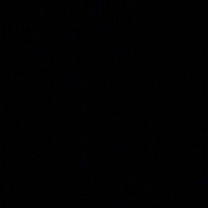 Meet your Posher, Ella